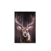 DEER Telas