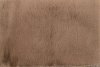 FURY 026 FL - 40 X 60 - CAMEL