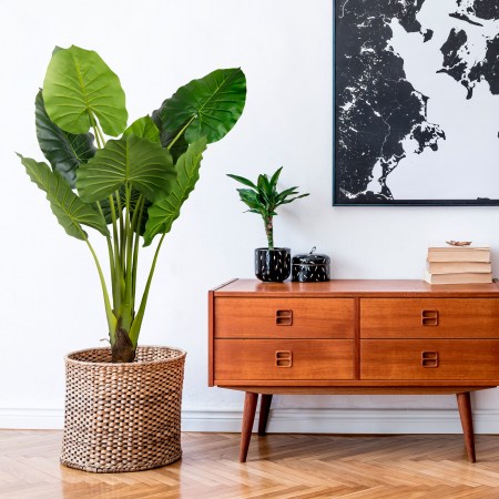Planta Artificial